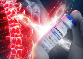 polilaminina-paralisia