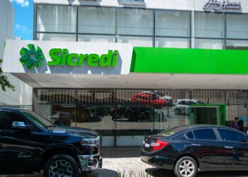 No AM, cooperativa amplia acesso ao crédito e fortalece pequenos negócios