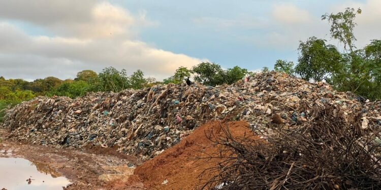 Lixão localizado no Ramal do Janauari (Iranduba/AM) - Foto: Kataryne Dias - Rios de Notícias)