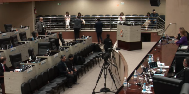 Plenário registrado durante no dia 28/04 - (Foto: Reprodução/Youtube)