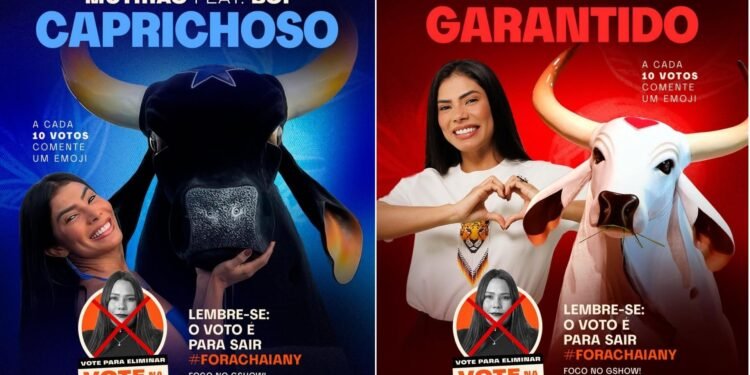 Marciele Alburquerque