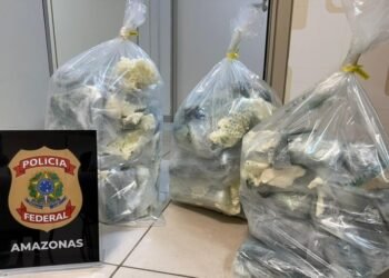 drogas-aeroporto-manaus (2)