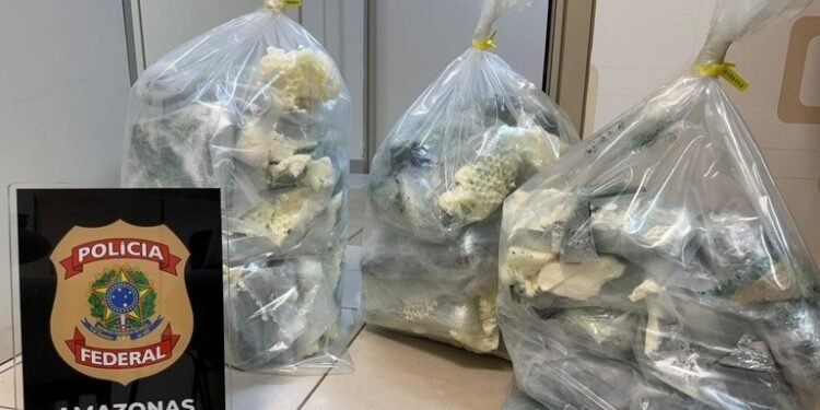 drogas-aeroporto-manaus (2)