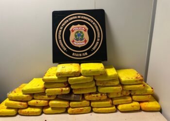 drogas-aeroporto-manaus (3)