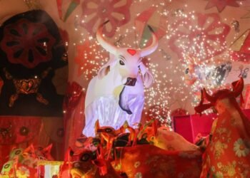 Garantido lança álbum 2026