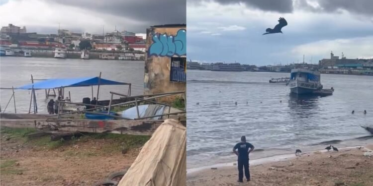 praia da ponta branca