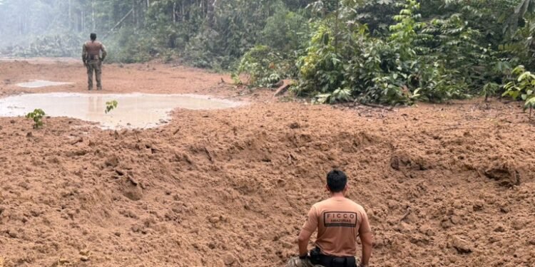 Operação destrói pistas clandestinas usadas pelo narcotráfico no Amazonas