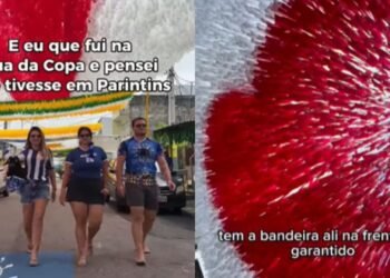 Caprichoso e Garantido