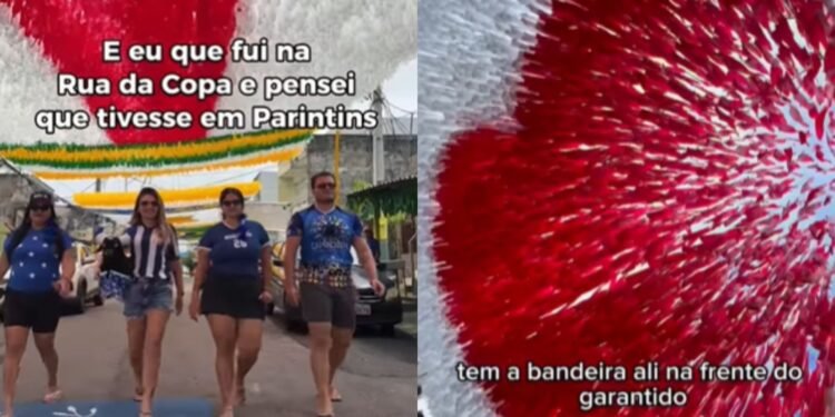 Caprichoso e Garantido