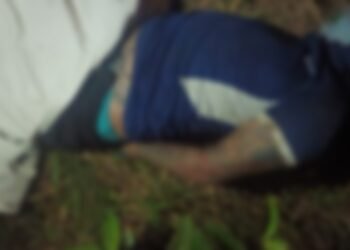 Corpos em mata e cova rasa: dois homicídios são registrados em Manaus no fim de semana