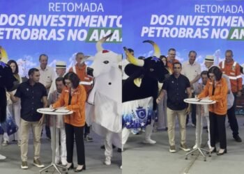 FESTIVALDEPARINTINS