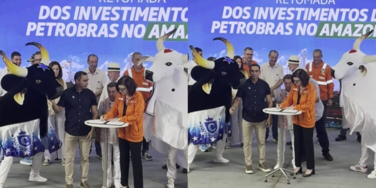 FESTIVALDEPARINTINS