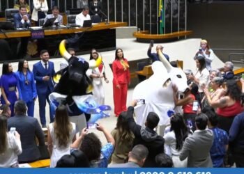 Festival de Parintins homenagem Câmara