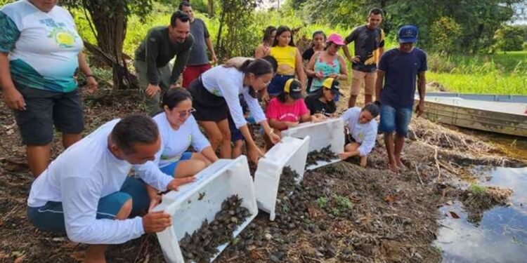 Ibama converte multa em R$ 119,9 mil para proteção da fauna amazônica