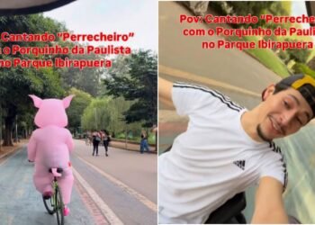 Influenciador mostra 'Porquinho da Paulista'
