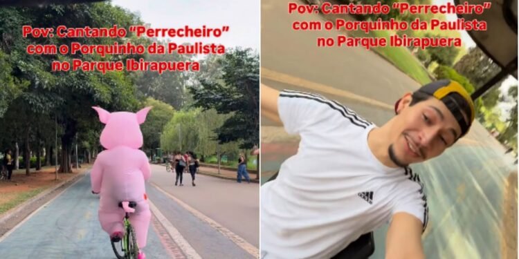 Influenciador mostra 'Porquinho da Paulista'