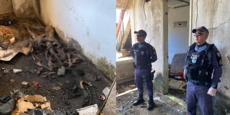 Ossada com pés amarrados é encontrada em prédio abandonado no Centro de Manaus