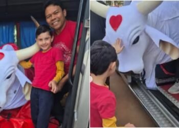 Menino autista realiza sonho de conhecer Boi Garantido em Brasília