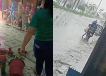 Quatro homens armados assaltam floricultura na zona Norte de Manaus