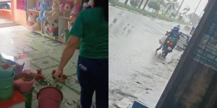 Quatro homens armados assaltam floricultura na zona Norte de Manaus