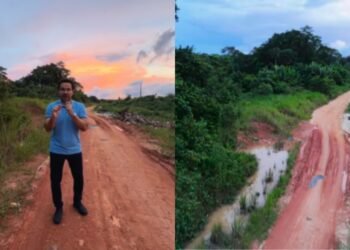 alberto-estrada-amazonas