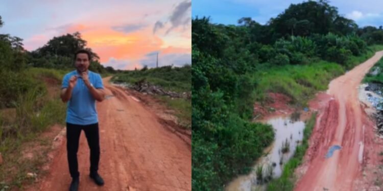 alberto-estrada-amazonas