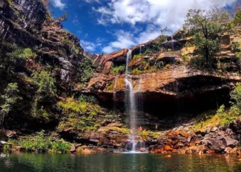 Criança de oito anos é atacada por onça na Chapada dos Veadeiros
