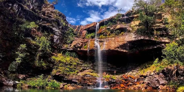 Criança de oito anos é atacada por onça na Chapada dos Veadeiros