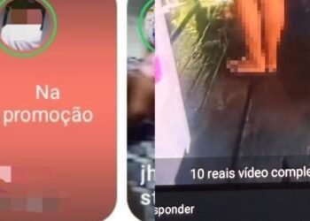 coletiva novo airão