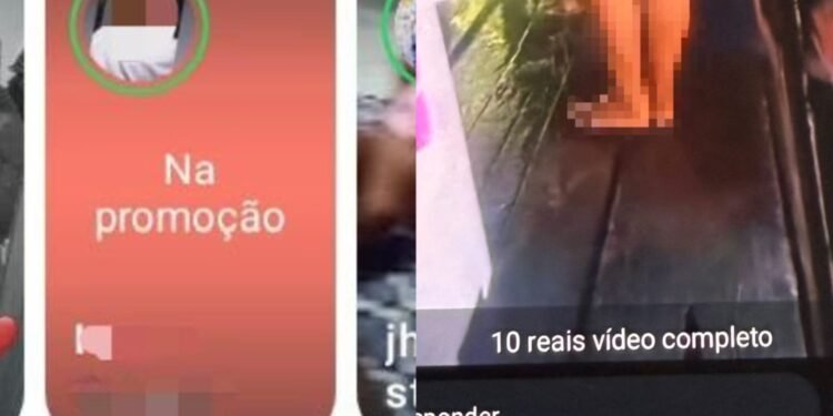 coletiva novo airão