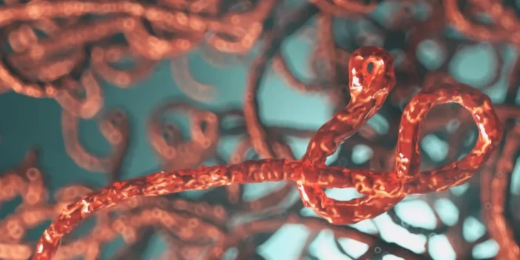 ebola