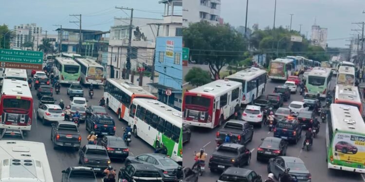 transito transtornon