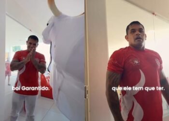 tripa boi - garantido
