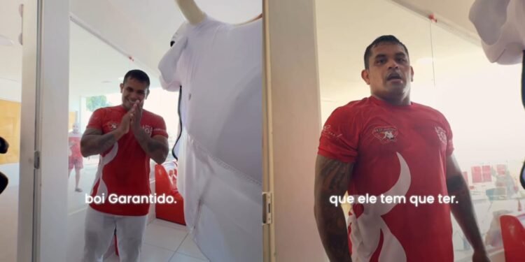 tripa boi - garantido