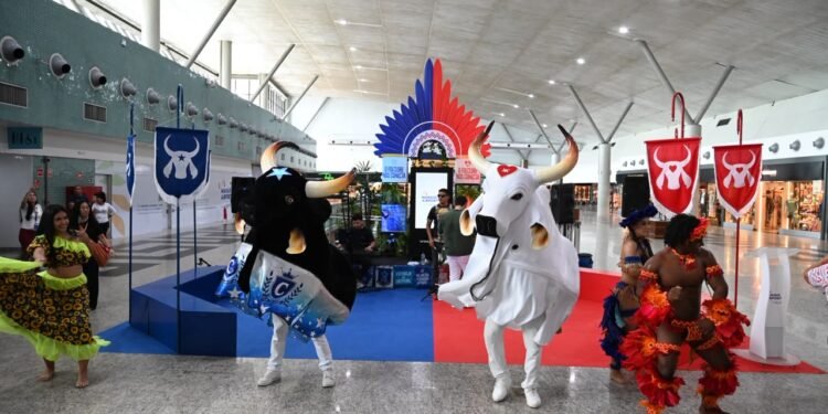 Aeroporto de Manaus terá lounge, transmissão e exposição dos bois para receber turistas de Parintins