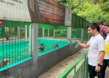 Bosque da Ciência promove programação especial para celebrar a Semana do Meio Ambiente