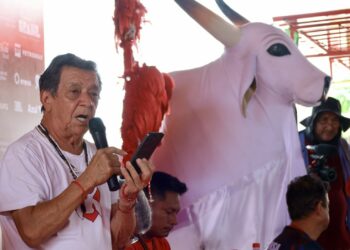 COLETIVA GARANTIDO