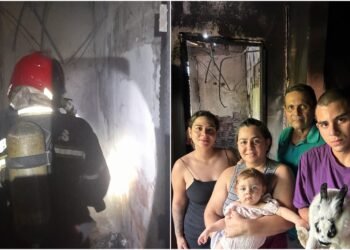 Coelha de estimação alerta família a escapar de incêndio em Petrópolis