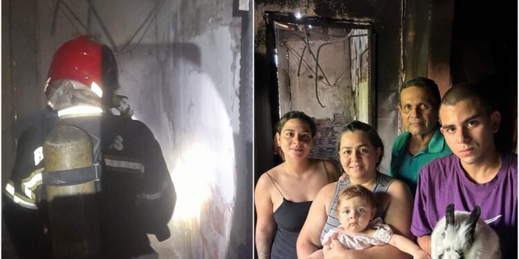 Coelha de estimação alerta família a escapar de incêndio em Petrópolis