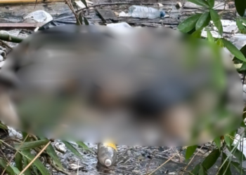 Corpo é encontrado boiando em igarapé do Bilhares em Manaus - (Foto: Reprodução/Redes Sociais)