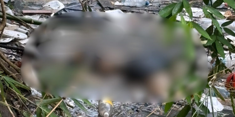 Corpo é encontrado boiando em igarapé do Bilhares em Manaus - (Foto: Reprodução/Redes Sociais)