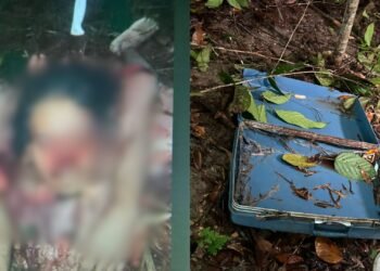 Corpo esquartejado é encontrado na zona Leste
