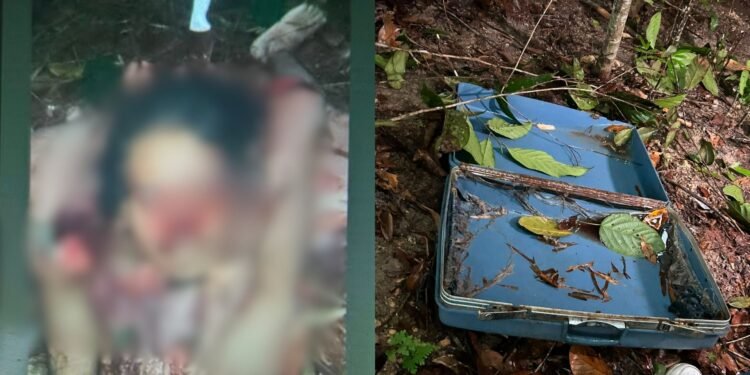 Corpo esquartejado é encontrado na zona Leste