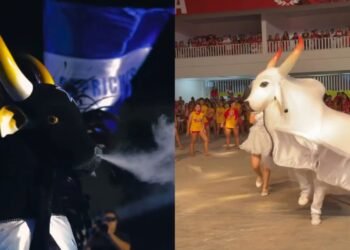 FESTIVAL DE PARINTINS