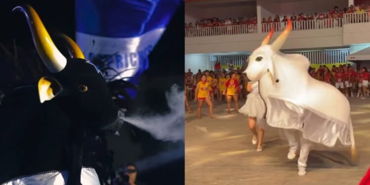 FESTIVAL DE PARINTINS