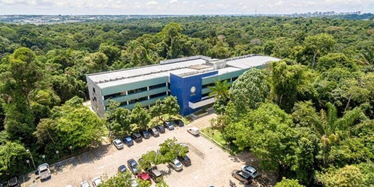Inscrições para 300 vagas em cursos EaD da Ufam começam nesta quarta-feira