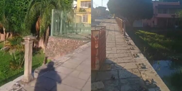‘A ponte está sendo destruída e ninguém faz nada’: morador denuncia danos e cobra fiscalização no Centro de Manaus