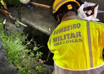 bombeiros-caes-bueiro