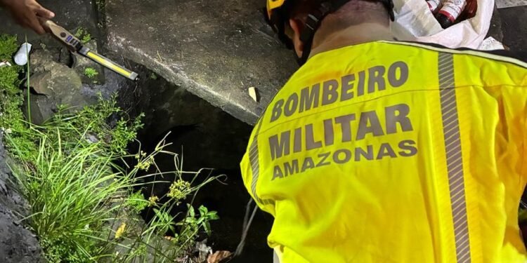 bombeiros-caes-bueiro