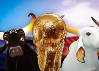 copa-bois-festival